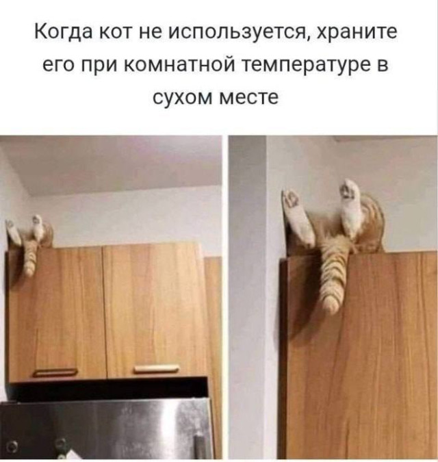 С юмором о серьёзном