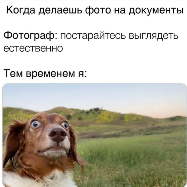 Праздники ушли, мемы остались