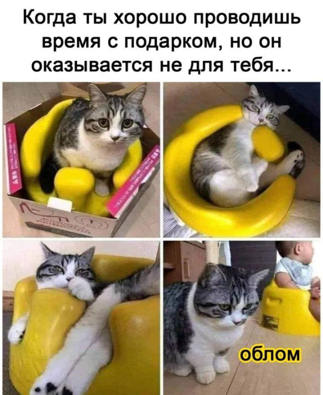 Папка: посмотреть потом