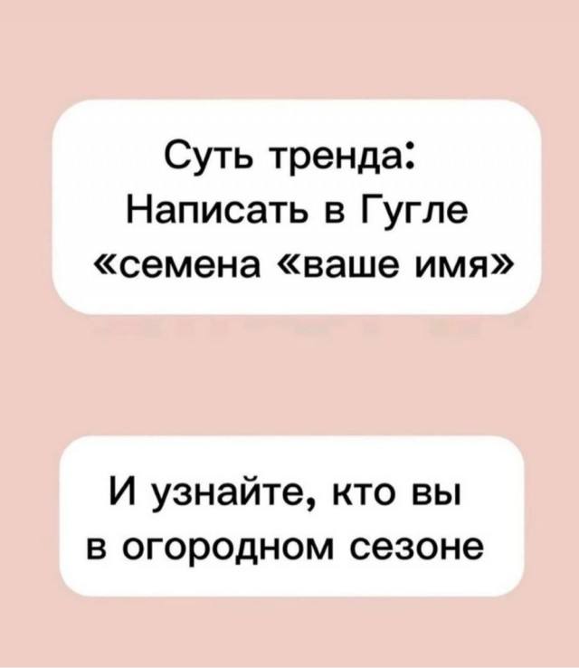 Настроение: поржать — смешные фото | Bugaga