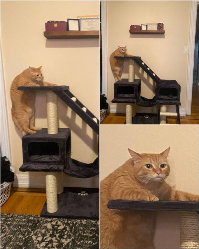 Когда реальность внезапно догоняет