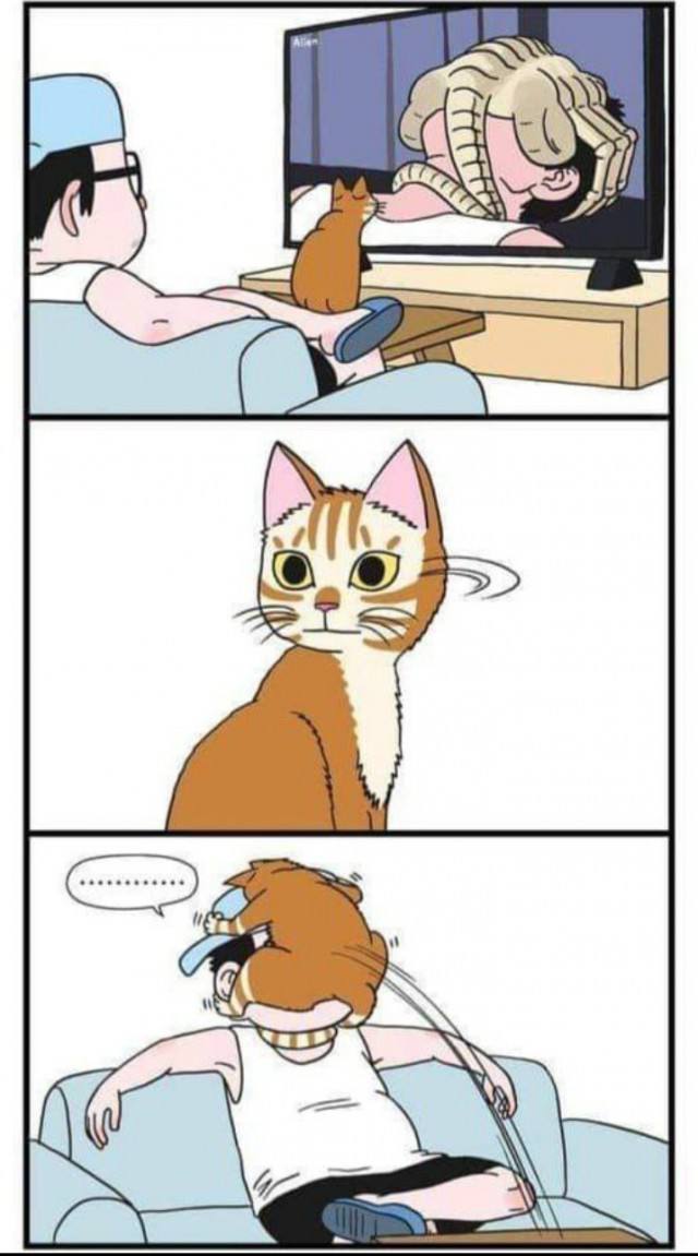 Это было бы смешно, если бы не так знакомо