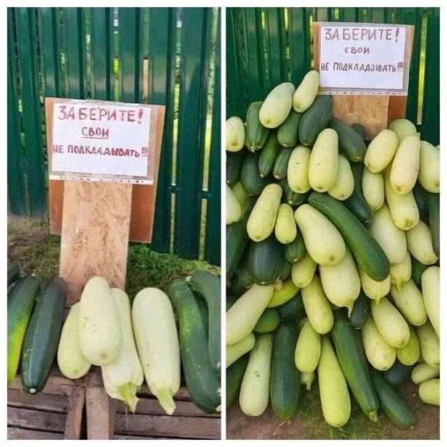 Мемы, которые понимаешь только с опытом — мемы | Bugaga