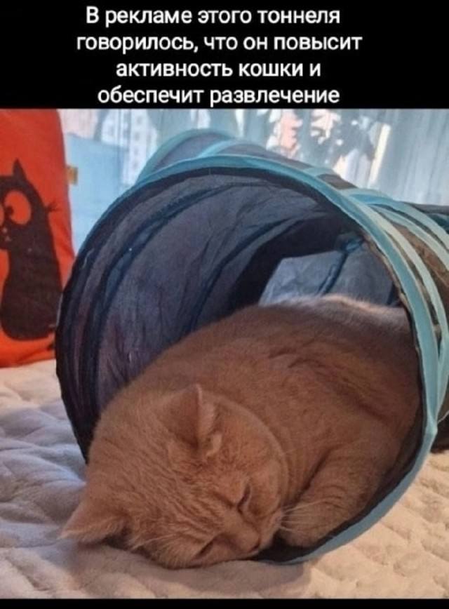 Так себе идея, но смешно — мемы | Bugaga