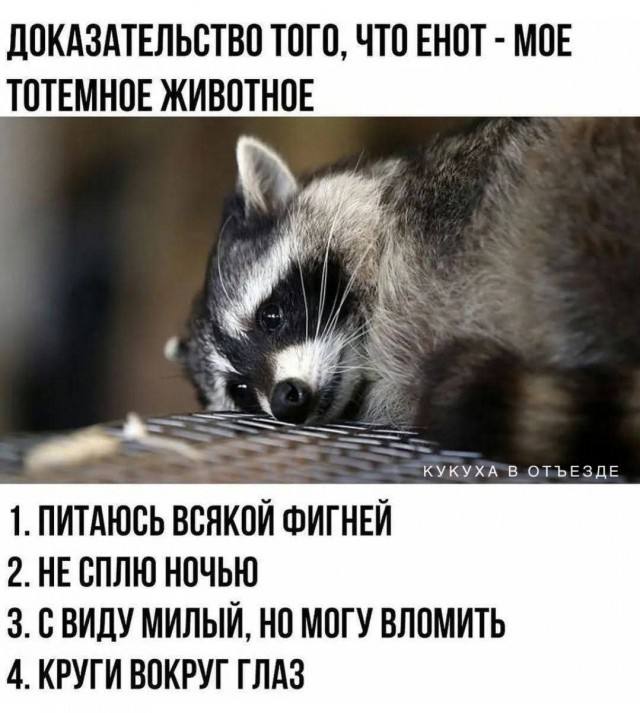 Коллекция странных совпадений — мемы | Bugaga