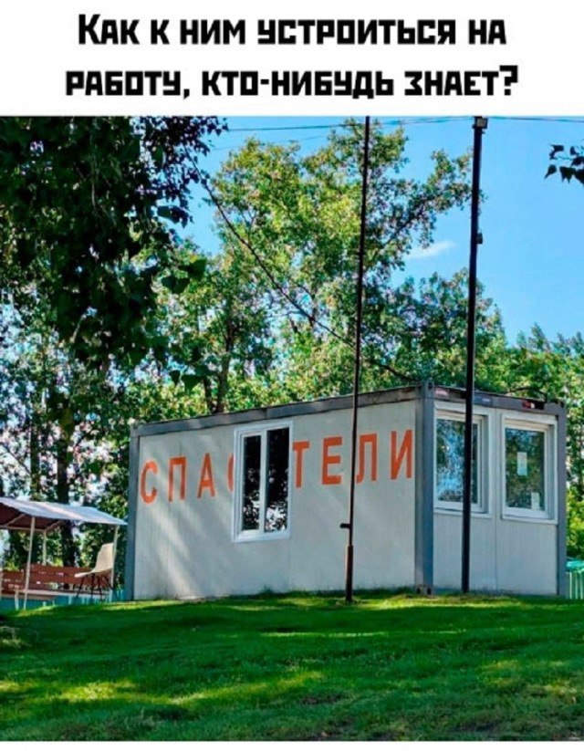 Когда хочется просто посмеяться — смешные фото | Bugaga