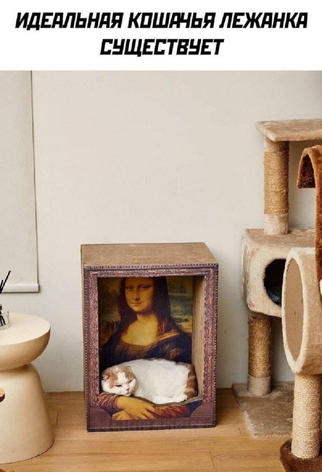 Коллекция случайного веселья — приколы | Bugaga