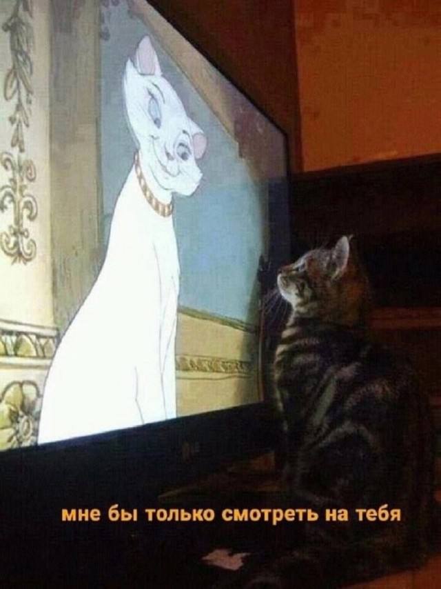 Хаос в квадрате — смешные мемы | Bugaga