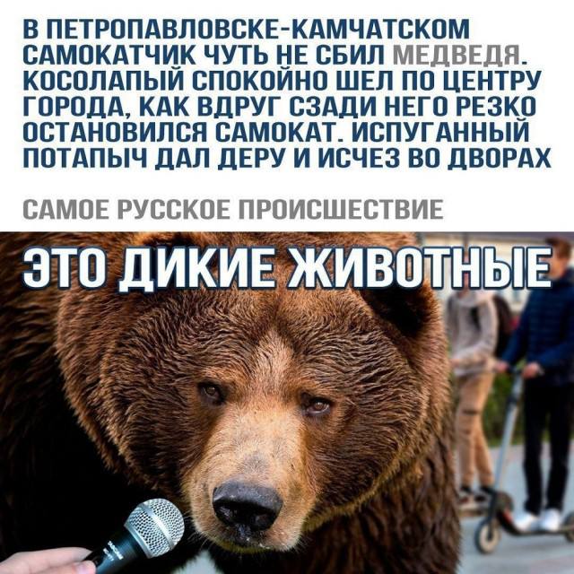 Позитивный разнобой — мемы и смешные фото | Bugaga