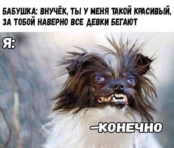 Парад несерьёзности — приколы | Bugaga