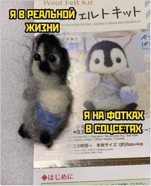 День через одно место — смешные фото | Bugaga