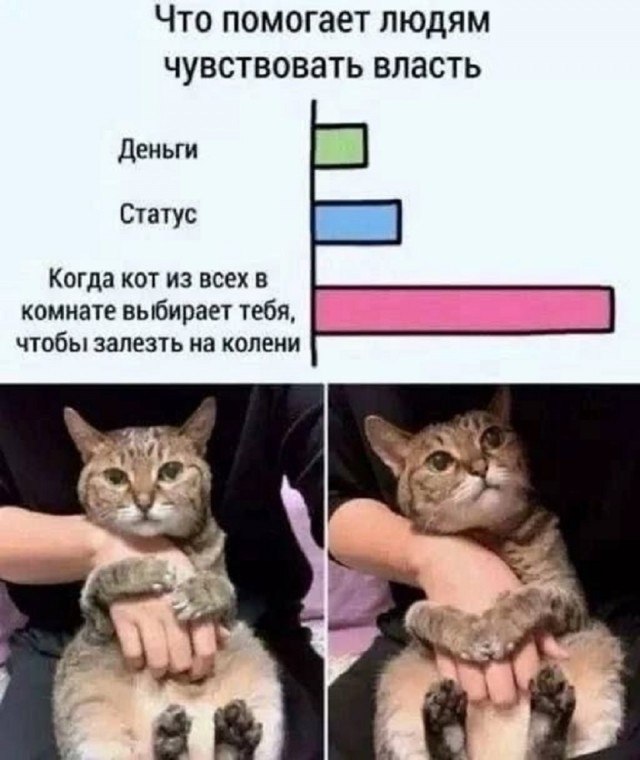 Всё и сразу — смешные фото | Bugaga