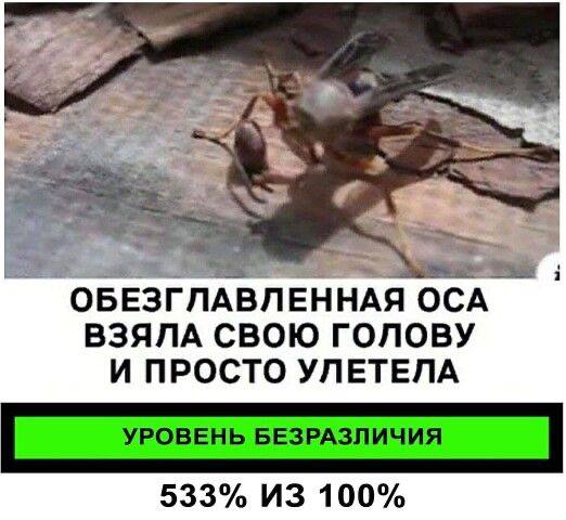 Немного всего и сразу