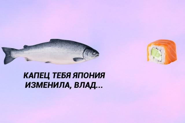 Юмор без повода и объяснений — приколы | Bugaga