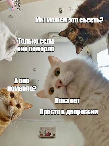 Коллекция случайных улыбок — приколы | Bugaga