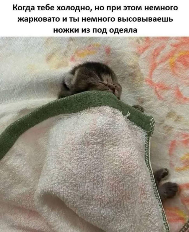 Сборная солянка из интернета