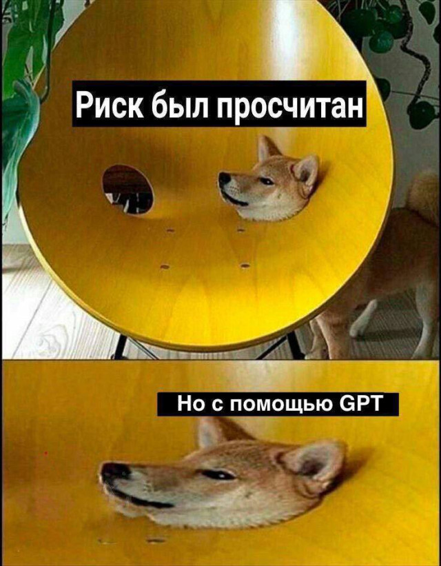 Интернет без тормозов — приколы | Bugaga