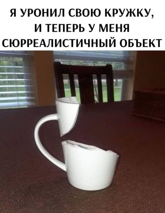 Всё и сразу — смешные фото | Bugaga