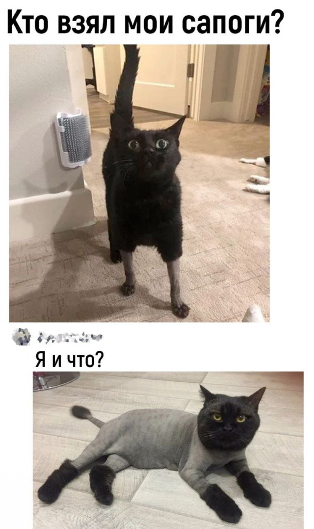Свежая порция интернета — смешные мемы | Bugaga