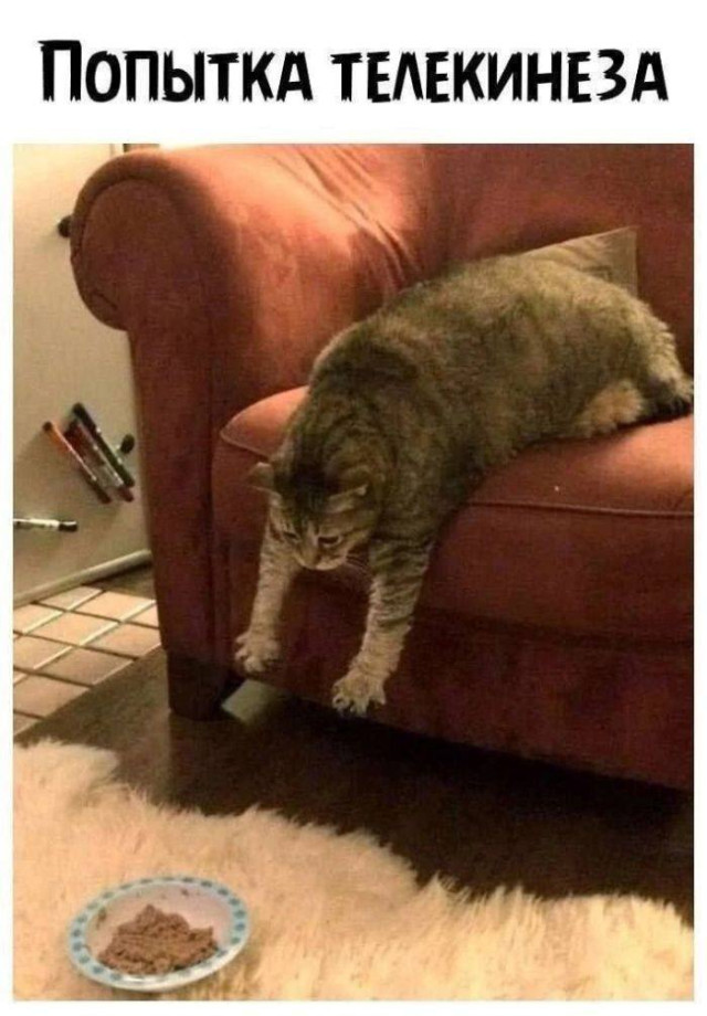 Мемный винегрет — смешные мемы | Bugaga