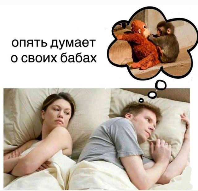 Взрыв юмора — смешные фото и мемы | Bugaga