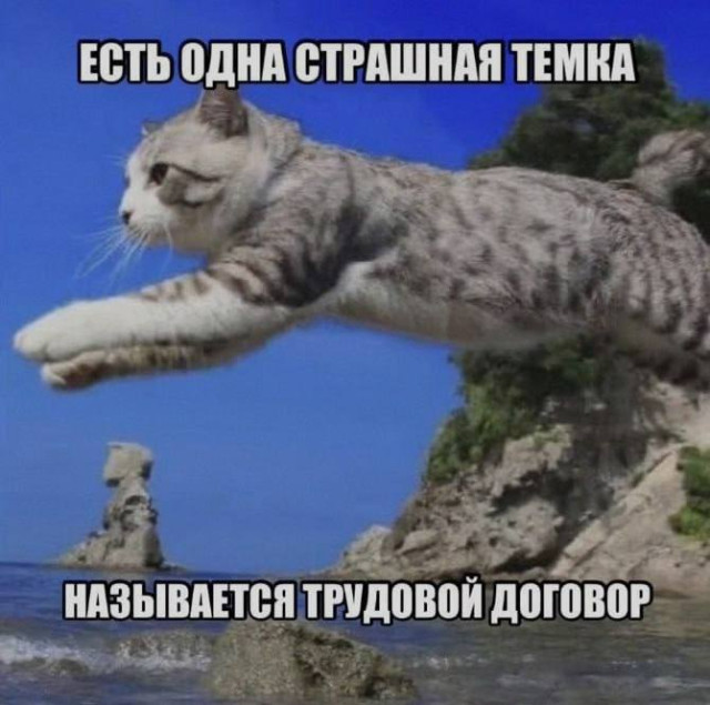 Случайный заряд позитива — смешные фото | Bugaga