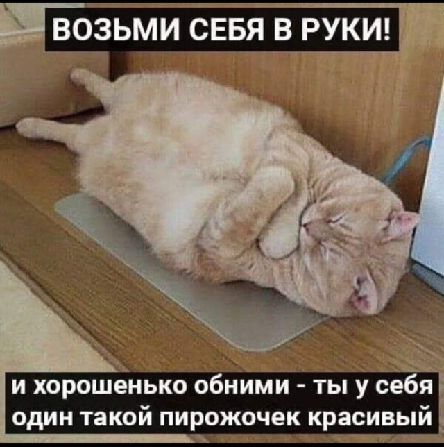 То, что вы не просили, но получили — приколы | Bugaga