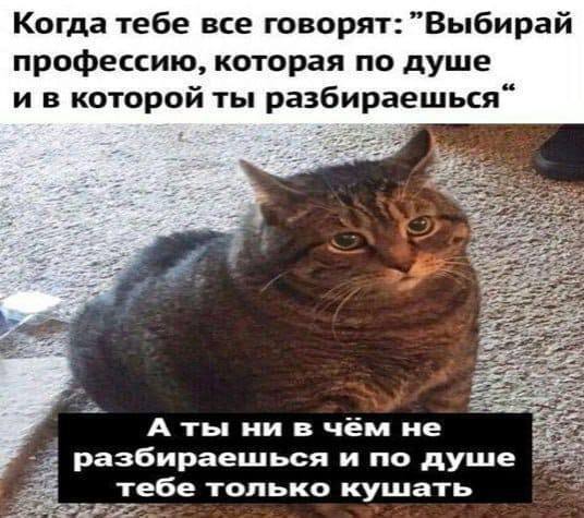 Набор случайной радости — смешные мемы | Bugaga