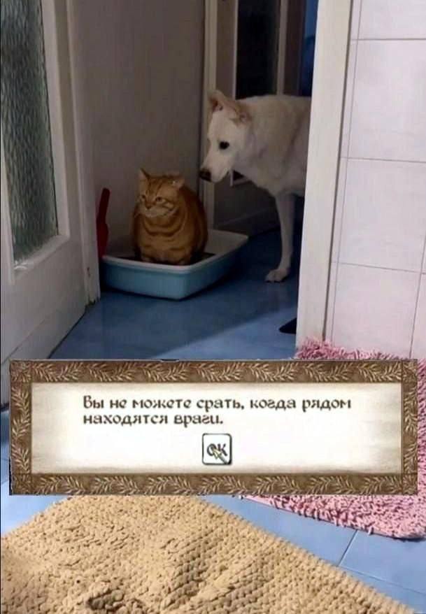 Настроение: посмотреть всё — смешные мемы | Bugaga