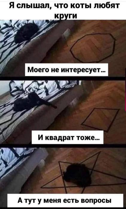 Интернет сегодня в ударе — смешные фото/мемы/приколы | Bugaga