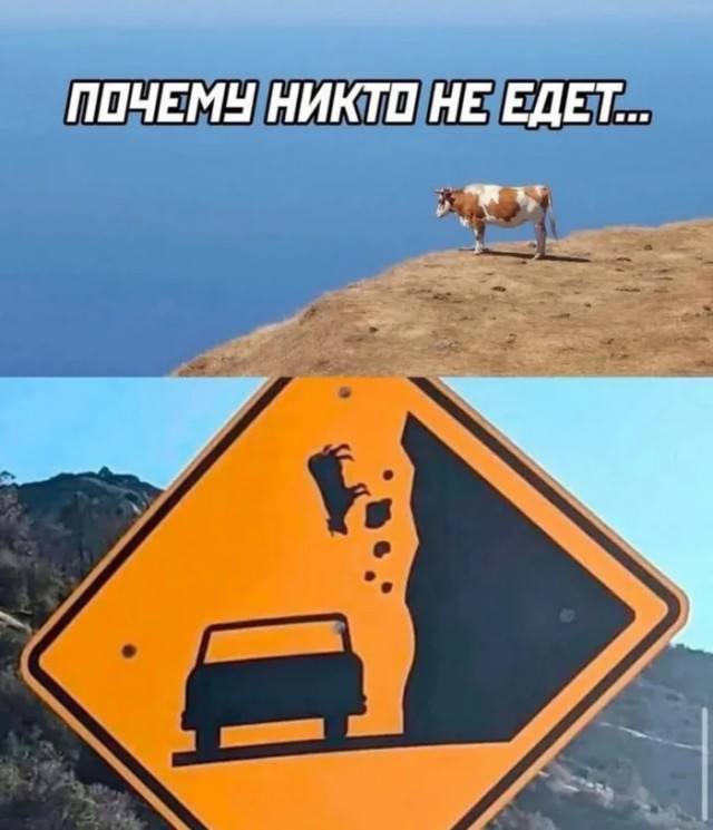 Сборник случайного веселья — смешные фото/мемы/приколы | Bugaga