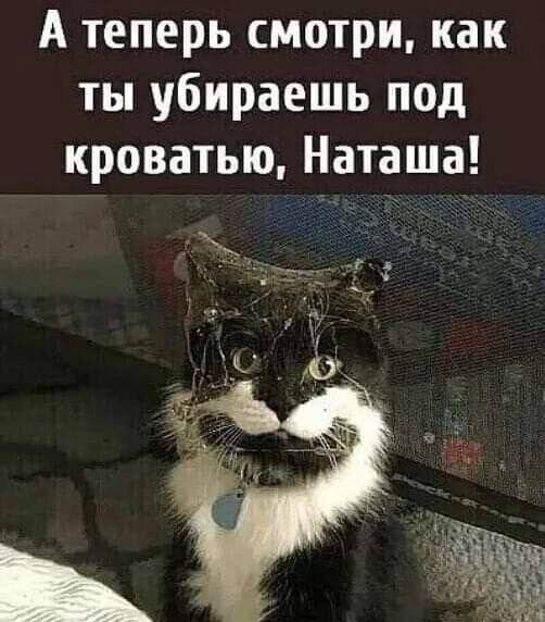 Порция интернет-юмора — смешные фото | Bugaga