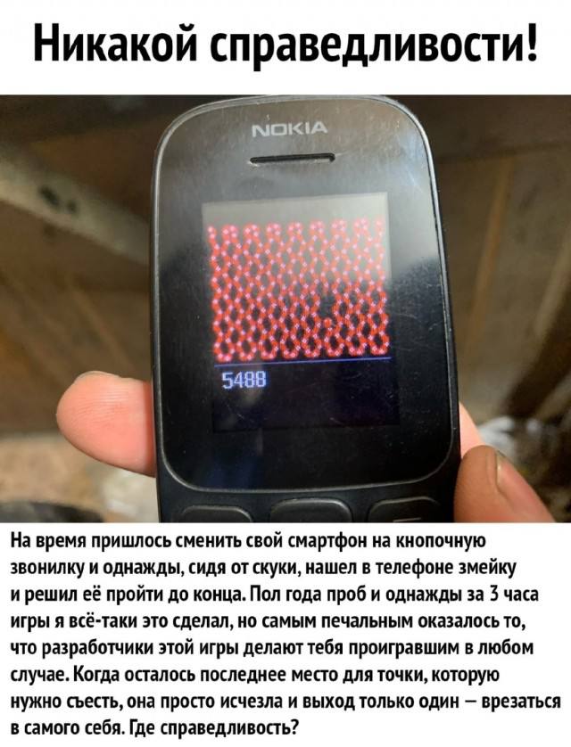 Случайные шутки интернета — смешные приколы | Bugaga