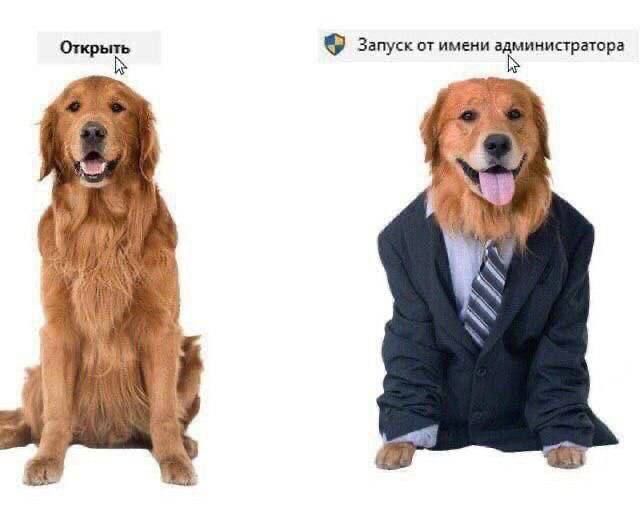 Порция интернет-юмора — смешные мемы | Bugaga