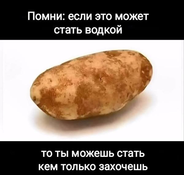 Порция случайного веселья — смешные фото | Bugaga