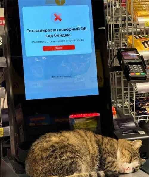 Беспорядок, который смешит — фото и мемы | Bugaga