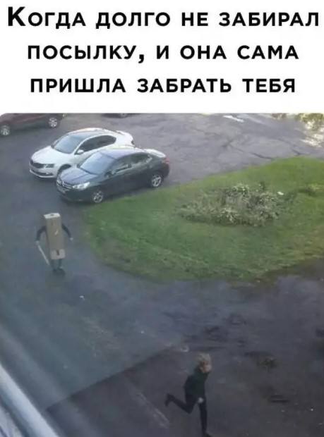 Безумный микс настроений — смешные фото | Bugaga