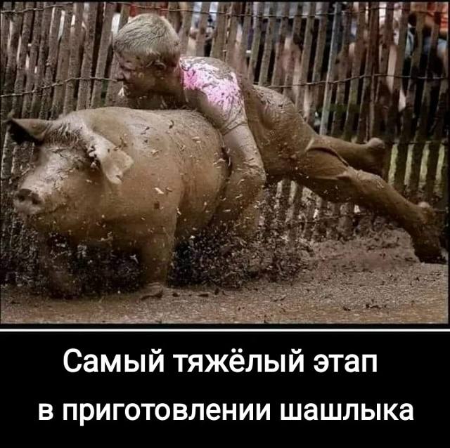 Свежая партия интернет-шуток — смешные фото/мемы/приколы | Bugaga