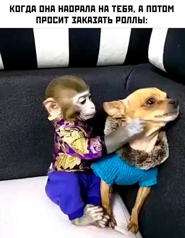 Интернет сегодня в хорошем настроении — смешные фото | Bugaga