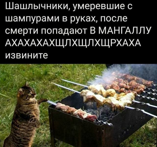 Свежая партия шуток — смешные мемы | Bugaga