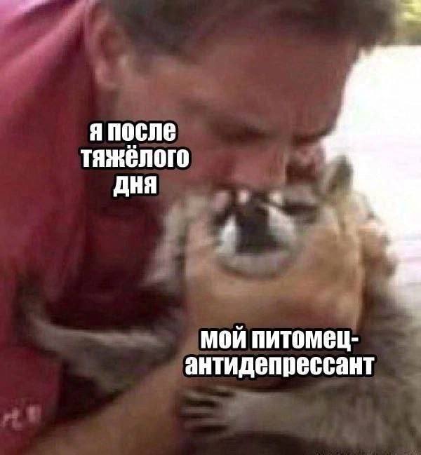 Нестандартный заряд позитива — приколы | Bugaga