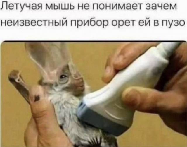 На грани адекватности — смешные фото | Bugaga