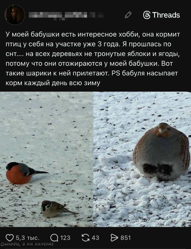 Просто открой и смейся — приколы | Bugaga