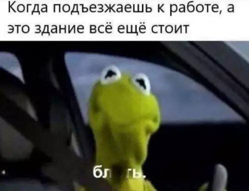 Галерея лёгкого безумия — смешные фото | Bugaga