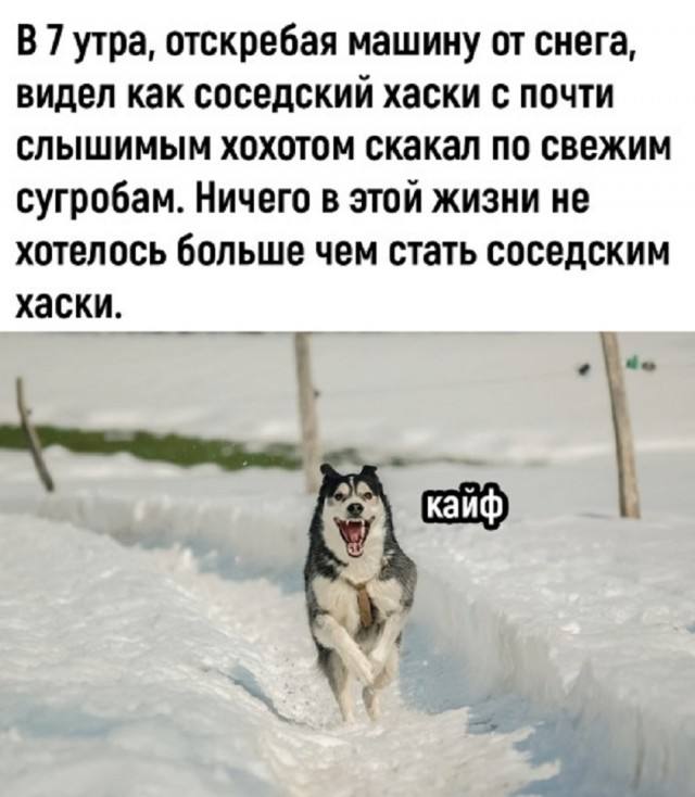 Лента хорошего настроения — смешные фото/мемы/приколы | Bugaga