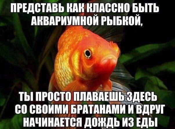 Хаос в квадрате — смешные фото | Bugaga