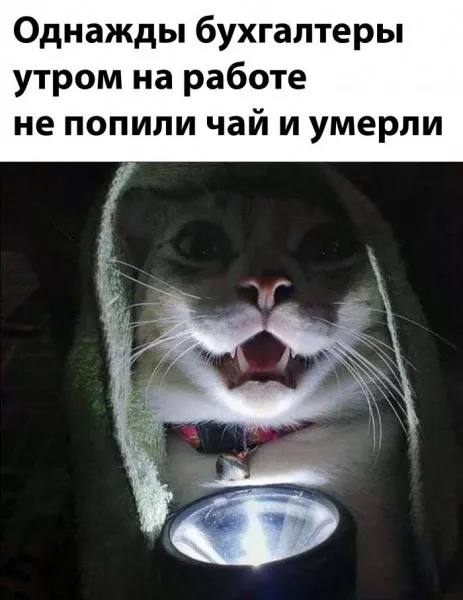 Юмор вразнобой — смешные мемы | Bugaga