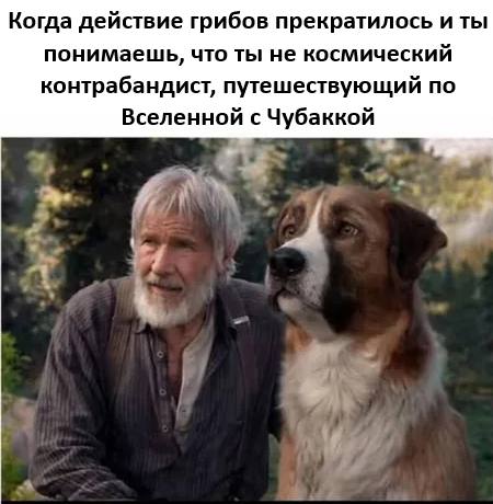 Коллекция хорошего настроения — смешные фото | Bugaga