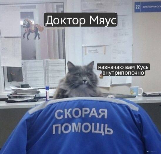 Смех без инструкции — приколы | Bugaga