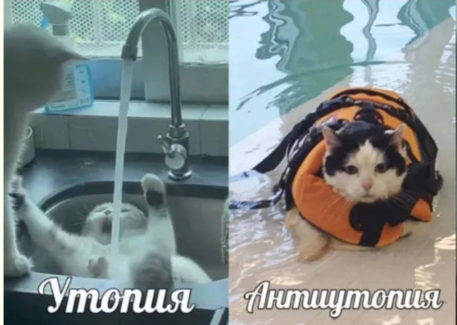 Коллекция внезапных «ха-ха» — смешные мемы | Bugaga